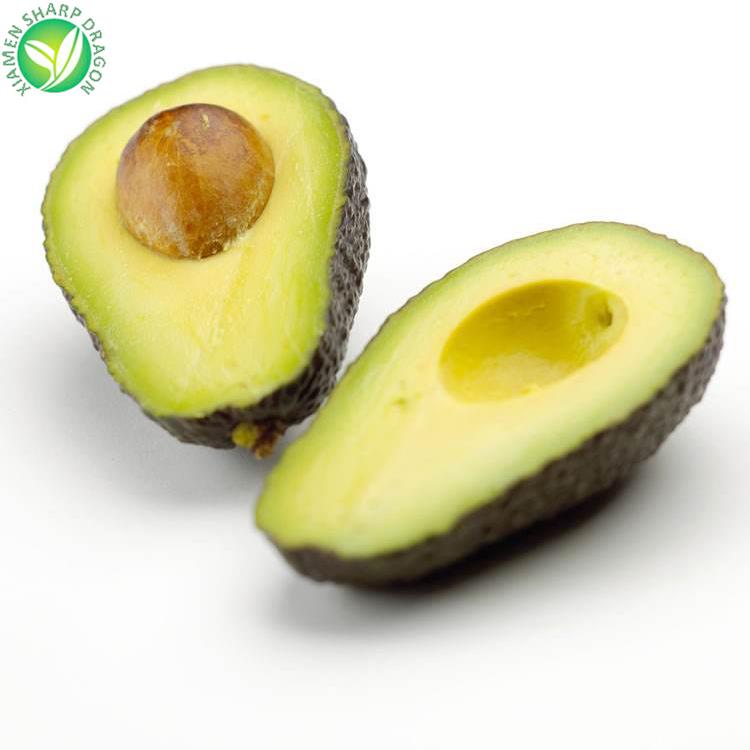 Avocado for wholesale 