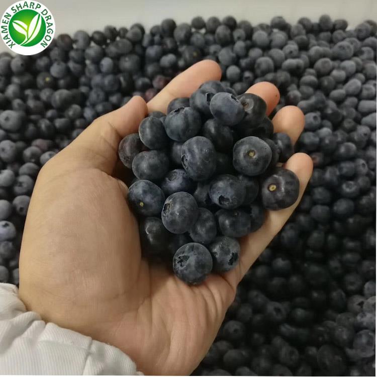 frozen blueberries in bulk