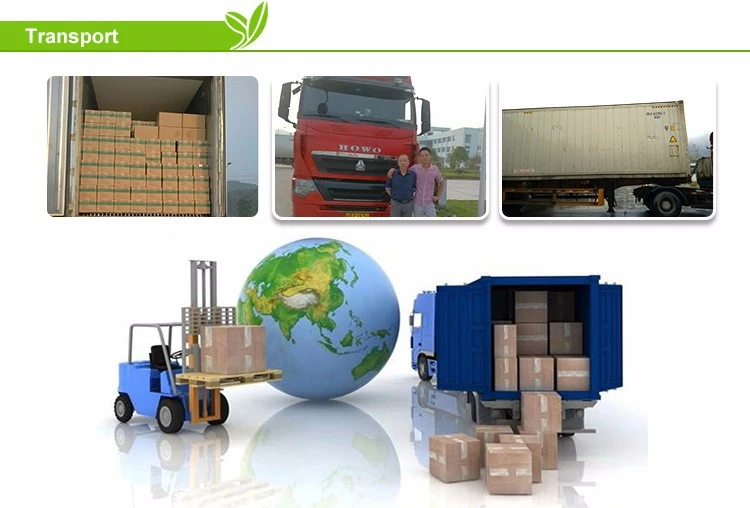 Vacuum fried radish chips transportation and export delivery support