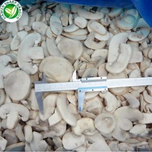 Madarch Champignon Prynu