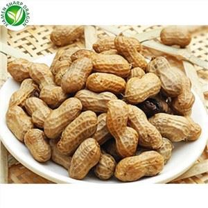 Prynu Pysgnau Ar-lein